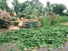 Duaringa ACT Darwin Holiday