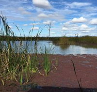 Gwydir Wetlands - Darwin Holiday