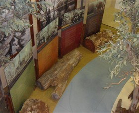 Barmah Forest Heritage And Education Centre - Darwin Holiday 4