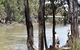 The Murrumbidgee River - thumb 1