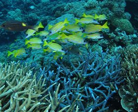 Port Douglas QLD Darwin Holiday