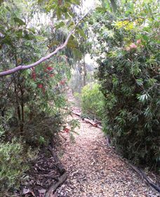 Timandra By The Sea - Darwin Holiday 8