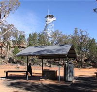 Pilliga Forest Lookout Tower - Darwin Holiday