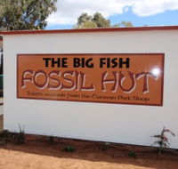 Big Fish Fossil Hut at Peak Hill - Darwin Holiday