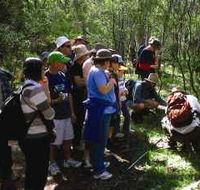 Warrumbungle National Park Discovery Program - Darwin Holiday