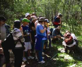 Warrumbungle National Park Discovery Program - Darwin Holiday 0