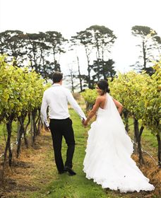 Quoin Hill Vineyard - Darwin Holiday 2