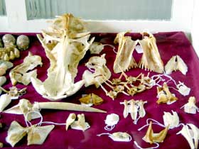 Sarina District Historical Centre - Darwin Holiday 3