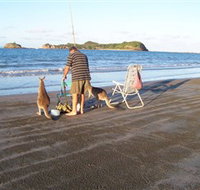 Cape Hillsborough National Park - Darwin Holiday