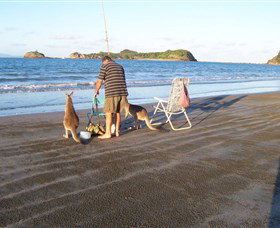 Cape Hillsborough National Park - Darwin Holiday 0