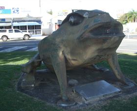 Big Cane Toad - Darwin Holiday 0