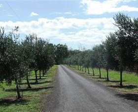 Seplin Estate Wines - Darwin Holiday 3