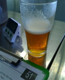 Goanna Brewing - Darwin Holiday 1