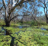 Macquarie Valley Trails - Darwin Holiday