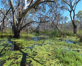 Macquarie Valley Trails - Darwin Holiday 0