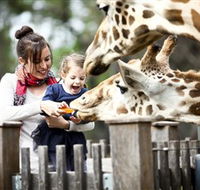 Taronga Western Plains Zoo Dubbo - Darwin Holiday