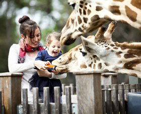 Taronga Western Plains Zoo, Dubbo - Darwin Holiday 0