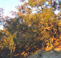 Mount Alexander Regional Park - Darwin Holiday