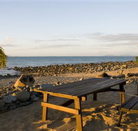 Dolphin Heads - Darwin Holiday