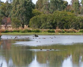 Tatura VIC Darwin Holiday