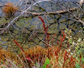Cussen Park - Darwin Holiday 1