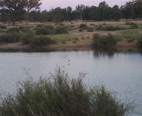 Savernake Day Tours - Darwin Holiday 7