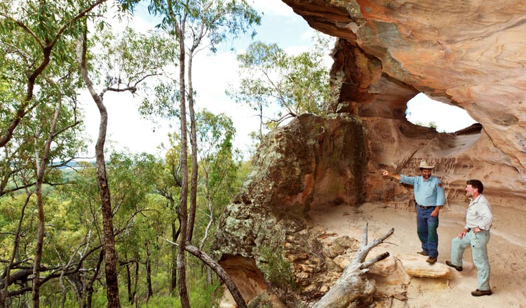 Dandry NSW Darwin Holiday