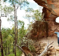 Pilliga National Park - Darwin Holiday