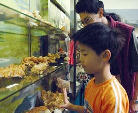 Crystal Kingdom - Darwin Holiday 2