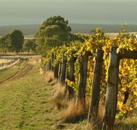 Captains Creek Organic Wines - Darwin Holiday