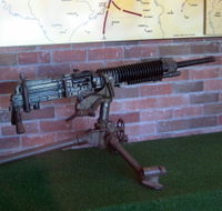 Woodpecker Gun - Darwin Holiday