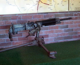 Woodpecker Gun - Darwin Holiday 0