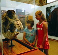 Australian Museum Diprotodon Exhibition - Darwin Holiday