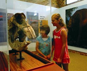 Australian Museum Diprotodon Exhibition - Darwin Holiday 0