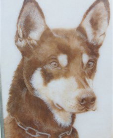 Doris Golder Wool Art Gallery - Darwin Holiday 1