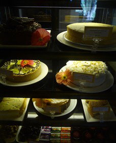 Rich Glen Olives - Darwin Holiday 5