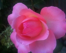 Abandon Stress Mobile Massage - Darwin Holiday 2