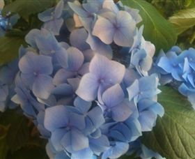 Abandon Stress Mobile Massage - Darwin Holiday 3