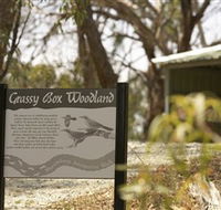 Kindra Forest - Darwin Holiday