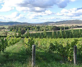 Sassy Wines - Darwin Holiday 0