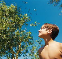 Bushwalking on Keswick Island - Darwin Holiday