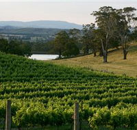 Granite Hills Winery - Darwin Holiday