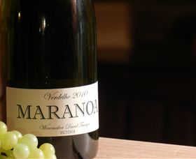 Baptista - David Traeger - Darwin Holiday 0