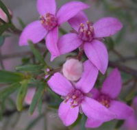 Self Drive Geology and Nature Trails - Darwin Holiday