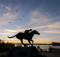 Black Caviar Statue - Darwin Holiday