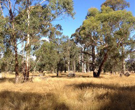 Paramoor Winery - Darwin Holiday 4