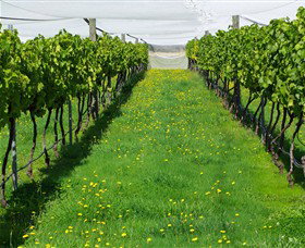 Paramoor Winery - Darwin Holiday 6