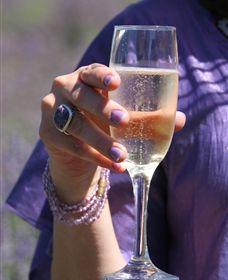 Yuulong Lavender Estate - Darwin Holiday 4