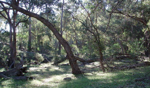 Mount Nangar Walking Track - Darwin Holiday 1