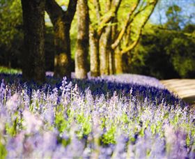 Duneira, Mt Macedon - Darwin Holiday 4